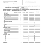 Iowa Affidavit Financial Fill Out And Sign Printable PDF Template