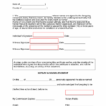 New York Self Proving Affidavit Form EForms