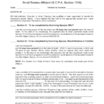 New York Small Estates Affidavit Form Download Printable PDF