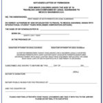 Notarized Affidavit Sample Texas