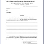 South African General Affidavit Template