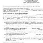 South Carolina Affidavit
