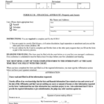 Vermont Financial Affidavit Fill Online Printable Fillable Blank